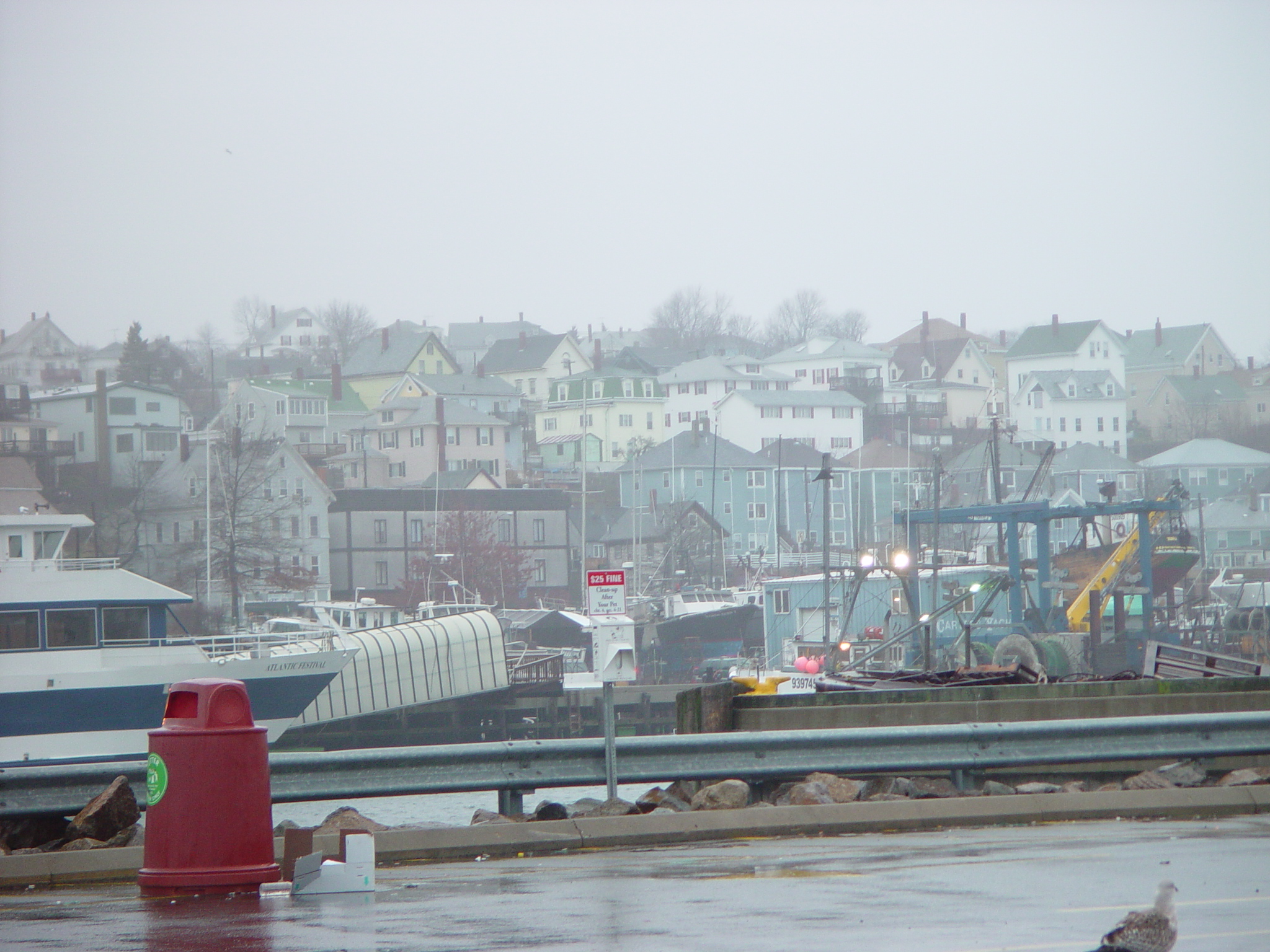 Early ocean photograph