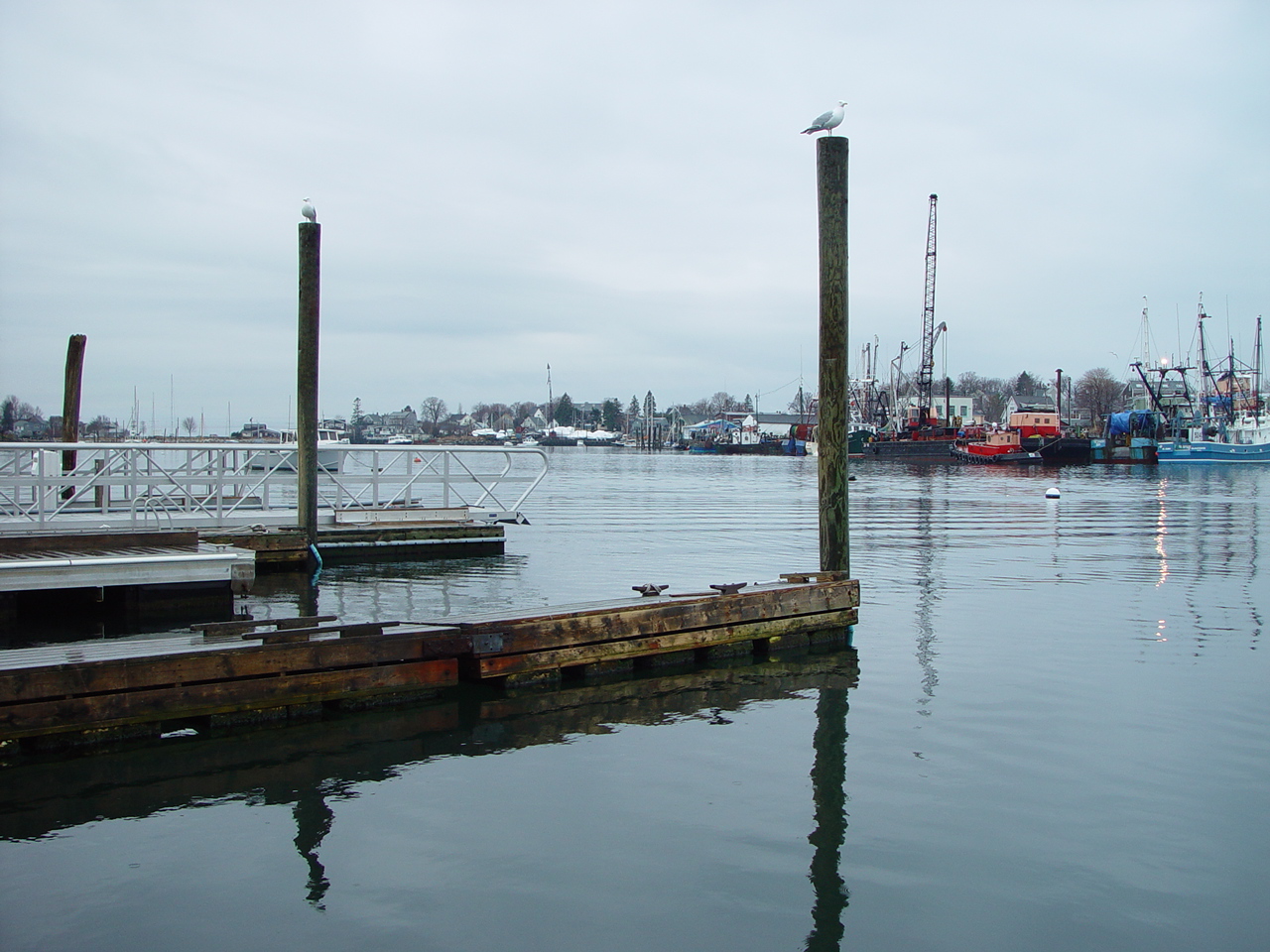 Ocean photo from early upload era